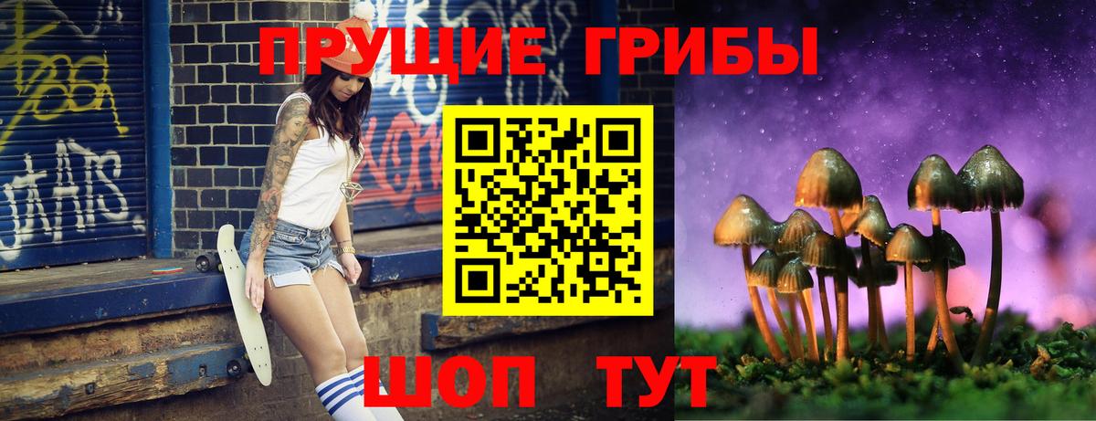 Десногорск  Галлюциногенные грибы GOLDEN TEACHER  купить наркотик  Вход с VPN 