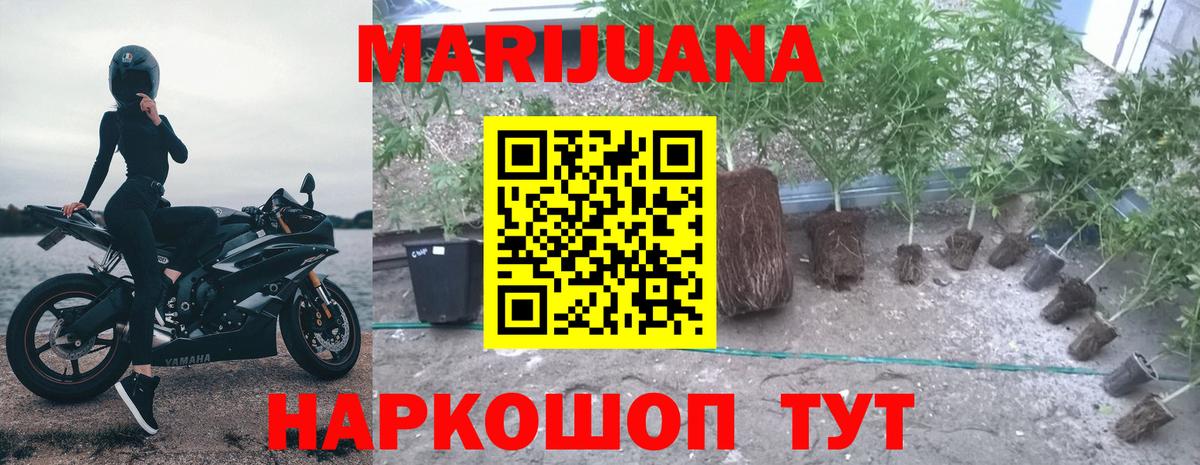 Бошки Шишки AK-47  Каннабис Amnesia  Десногорск  Вход с VPN 